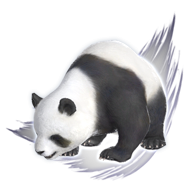 mystic panda