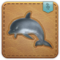 dolphin calf