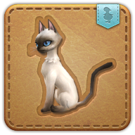 Nagxian cat